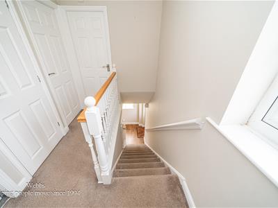 Picture 14